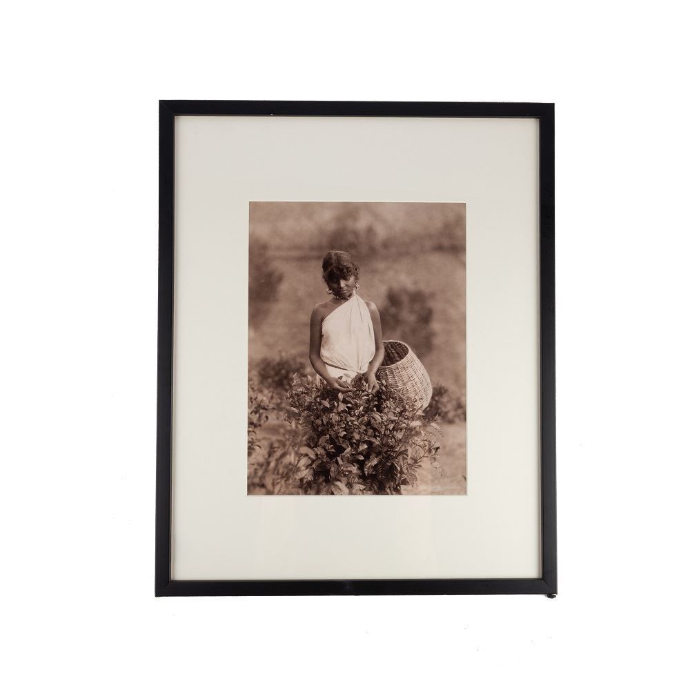 Voyages En Photographie Tablo 3