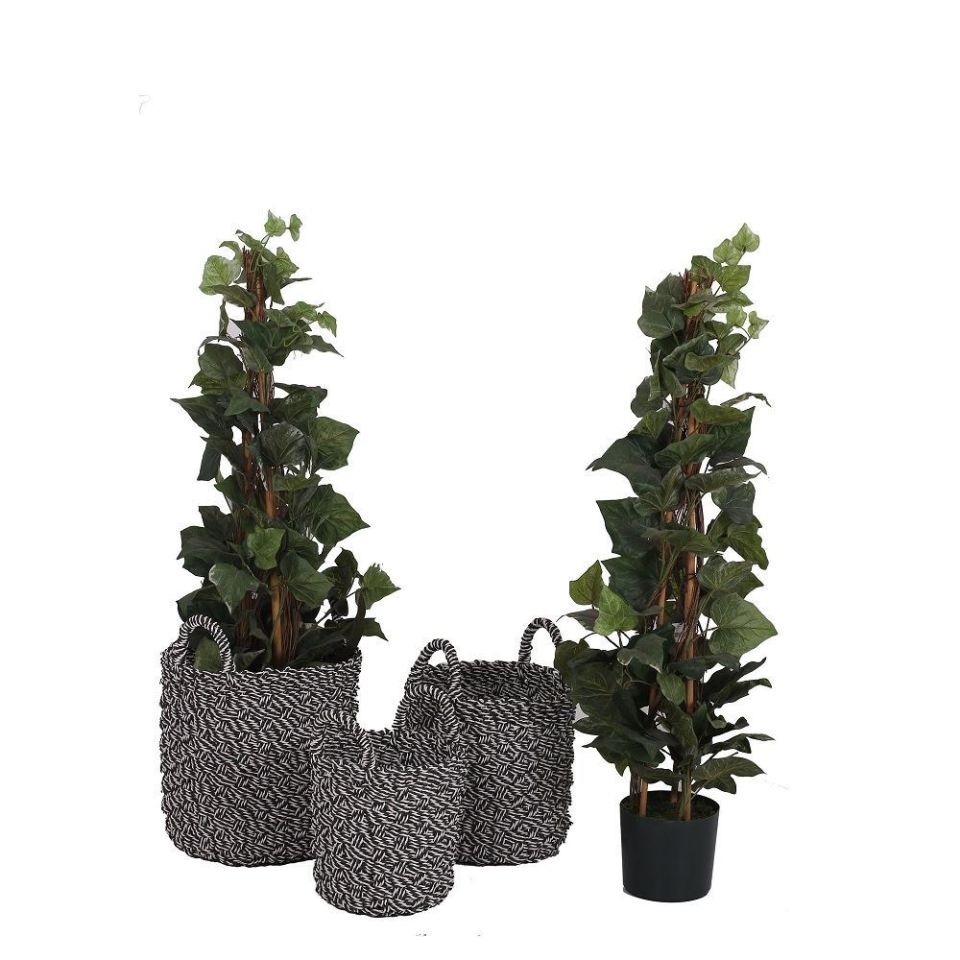 Rattan Sepet  H:30 cm