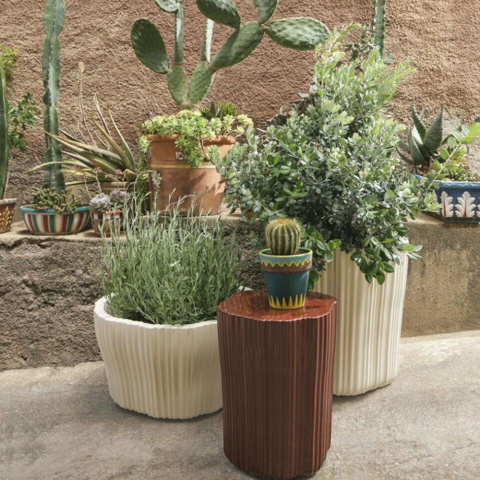 Kartell Corteza Fildişi Alçak Kaşpo