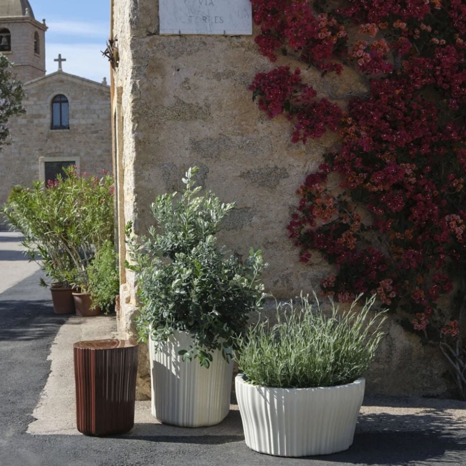 Kartell Corteza Fildişi Alçak Kaşpo