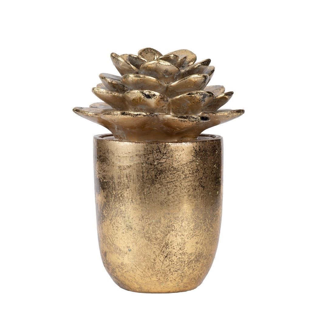 Sukulent Saksı Reçine Gold 2