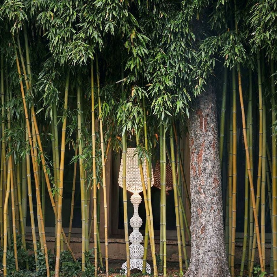Kabuki Lambader Şeffaf Outdoor