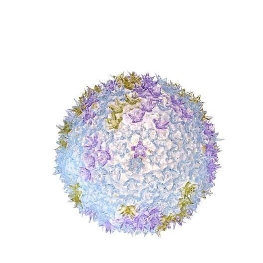 Bloom Küçük Tavan Lambası/Aplik