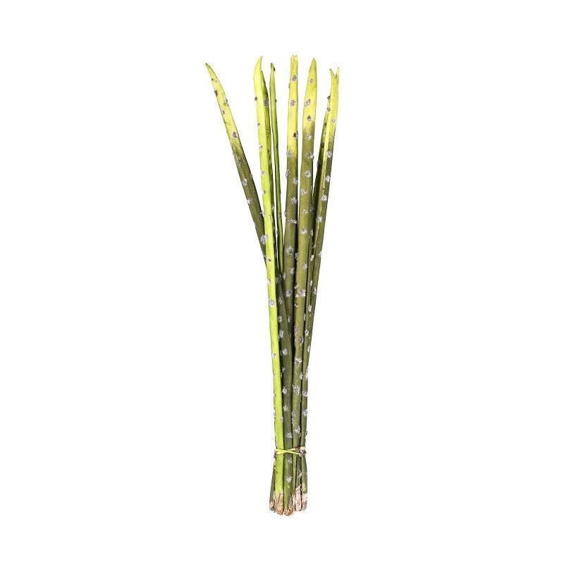 Bambu Dal Dekoratif Çiçek 10'lu