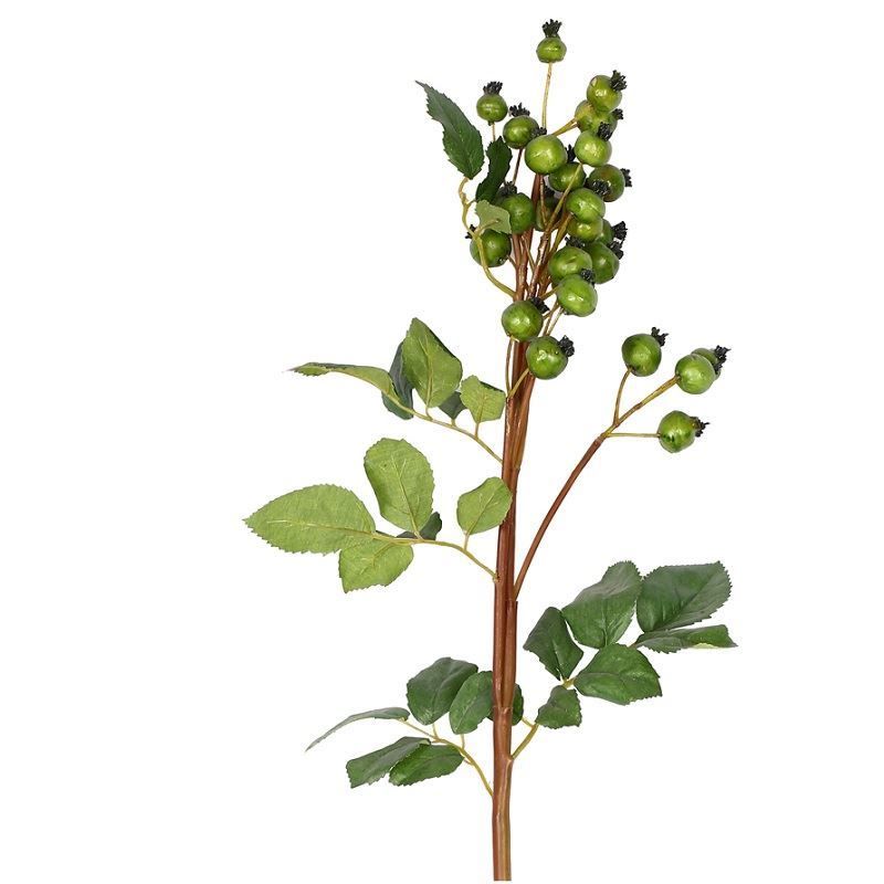 Kuşburnu Dekoratif Çiçek